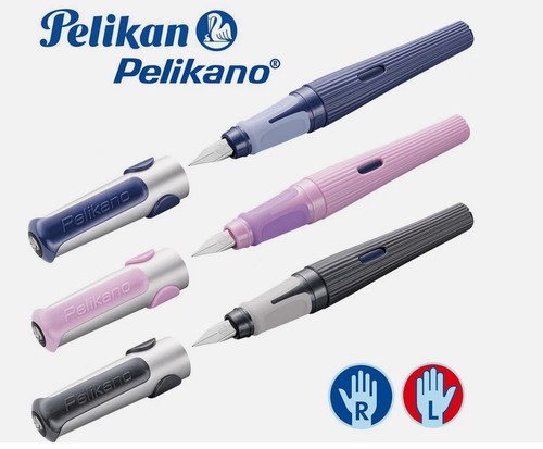 Pelikan pelikano struktur - pelikano,